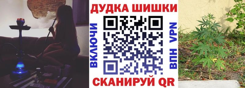 kraken ССЫЛКА  Назрань  МАРИХУАНА OG Kush 